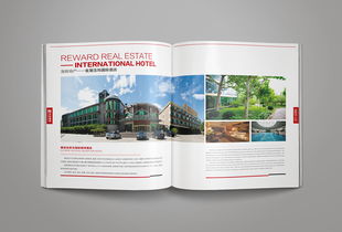 整合設(shè)計，塑造卓越企業(yè)形象——洛娃集團(tuán)畫冊設(shè)計與市場營銷策劃